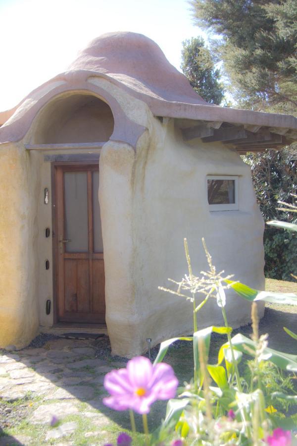 Solscape Villa Raglan Kültér fotó